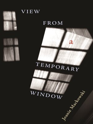 cover image of View from a Temporary Window